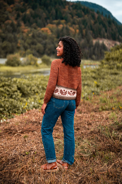 Dandelion Sweater Kits