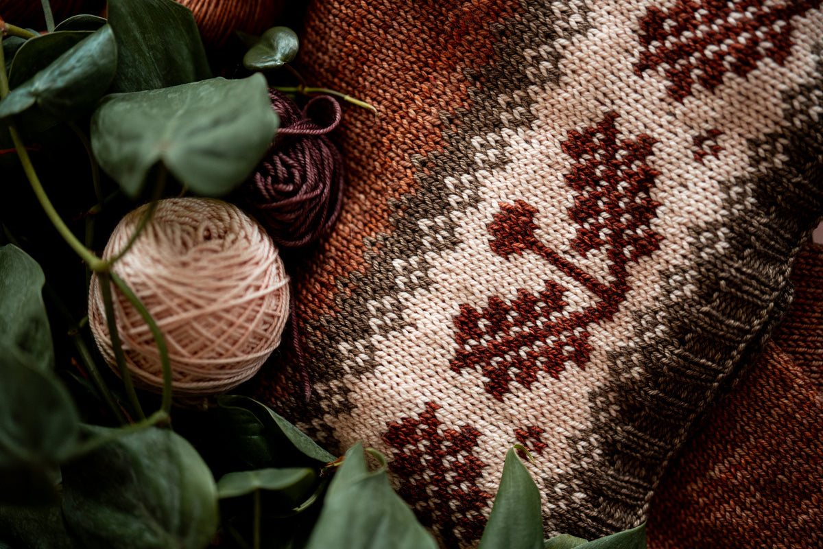 Dandelion Sweater Kits