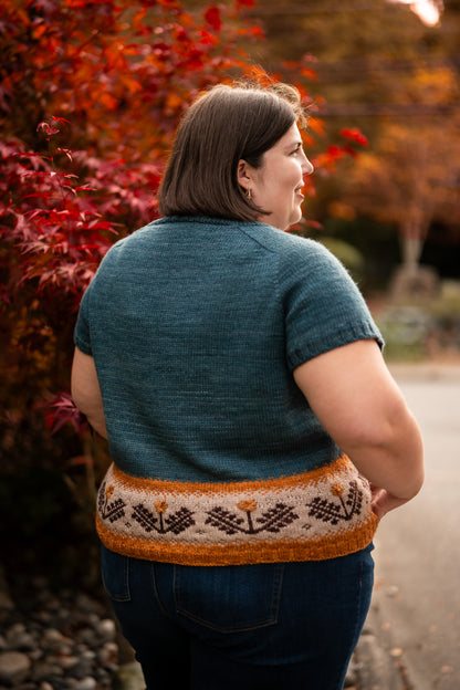 Dandelion Sweater Kits